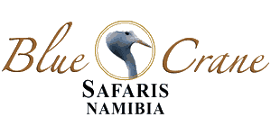 blue_crane_safaris_namibia_149_5fcf5c9cc35f1